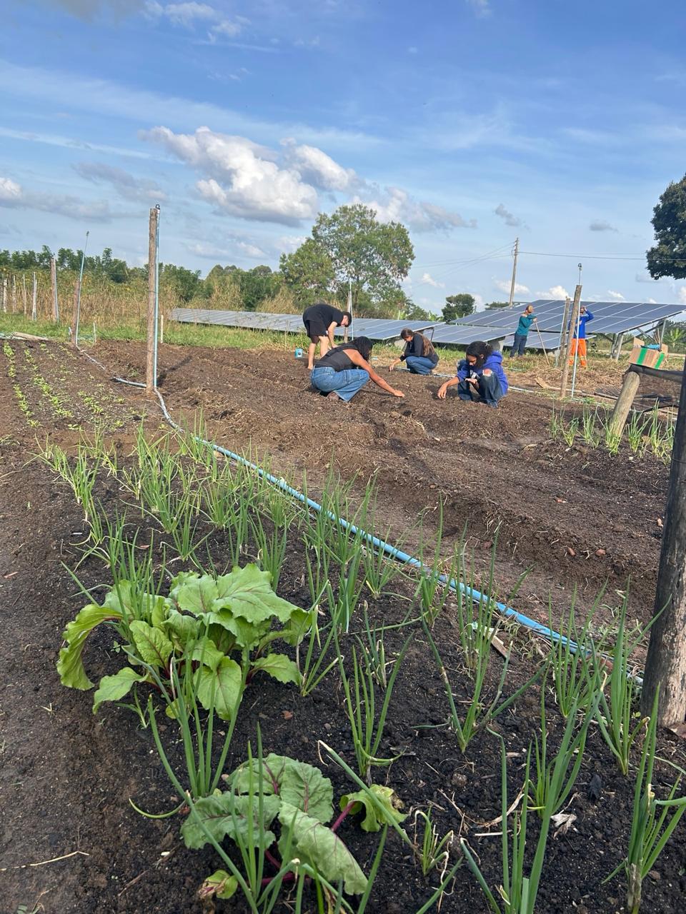 Aula de Campo – Trabalho